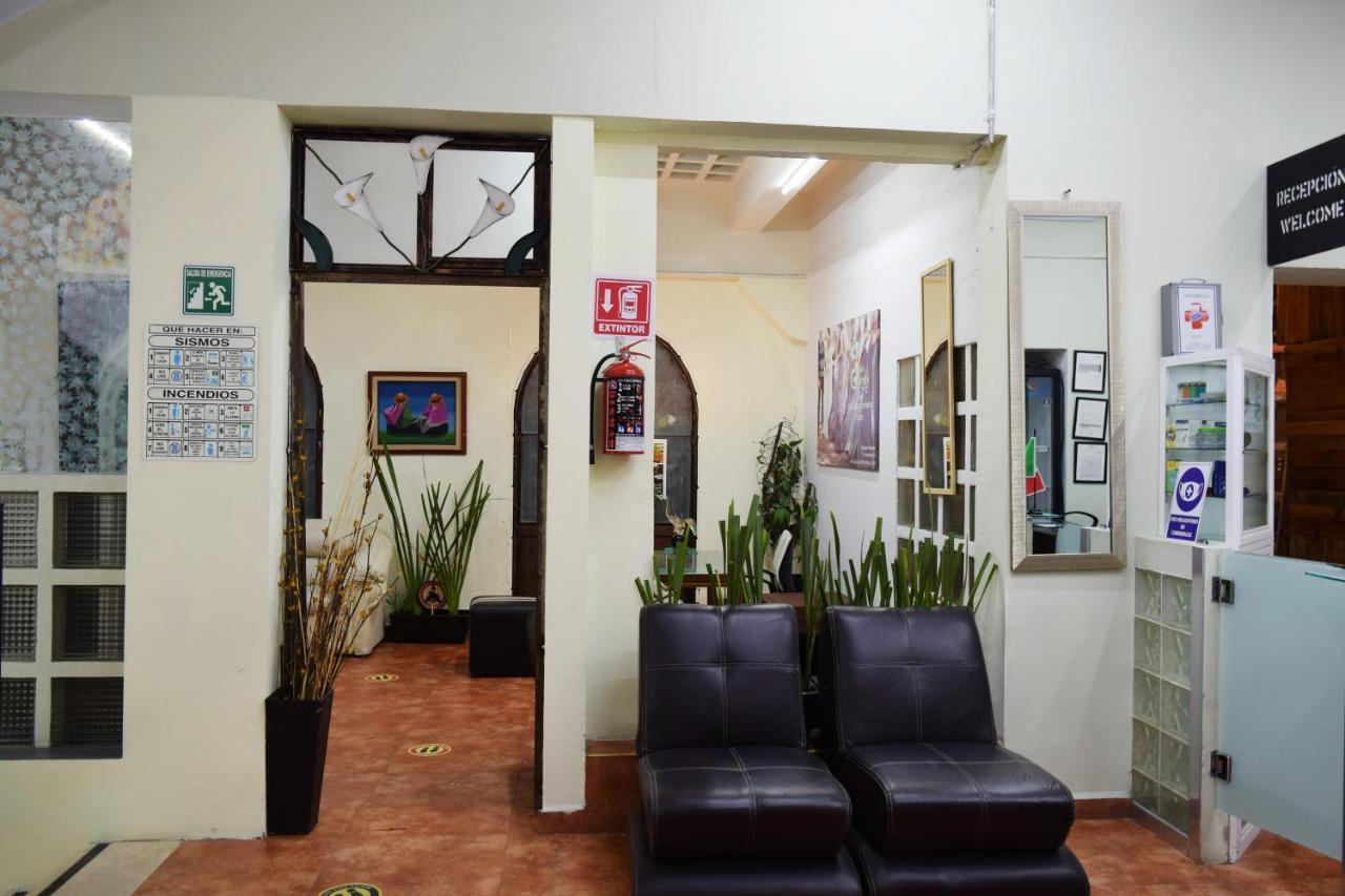 Hostel Plaza Mayor Μεξικό Εξωτερικό φωτογραφία